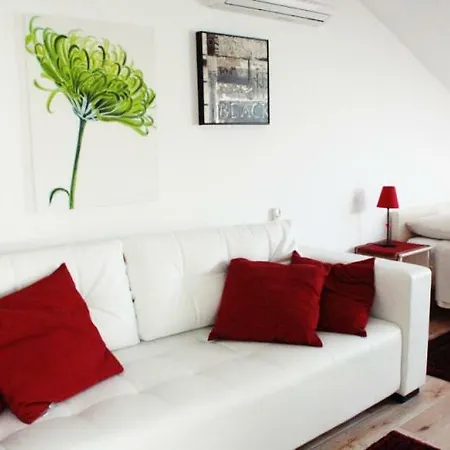San Antonio Apartment *